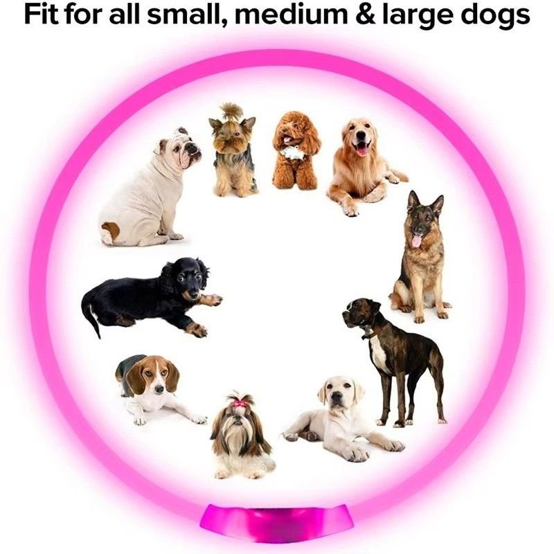 Huitich A - Express LED Dog Collar Rechargeable, Multi - Color Safety - Mumzar