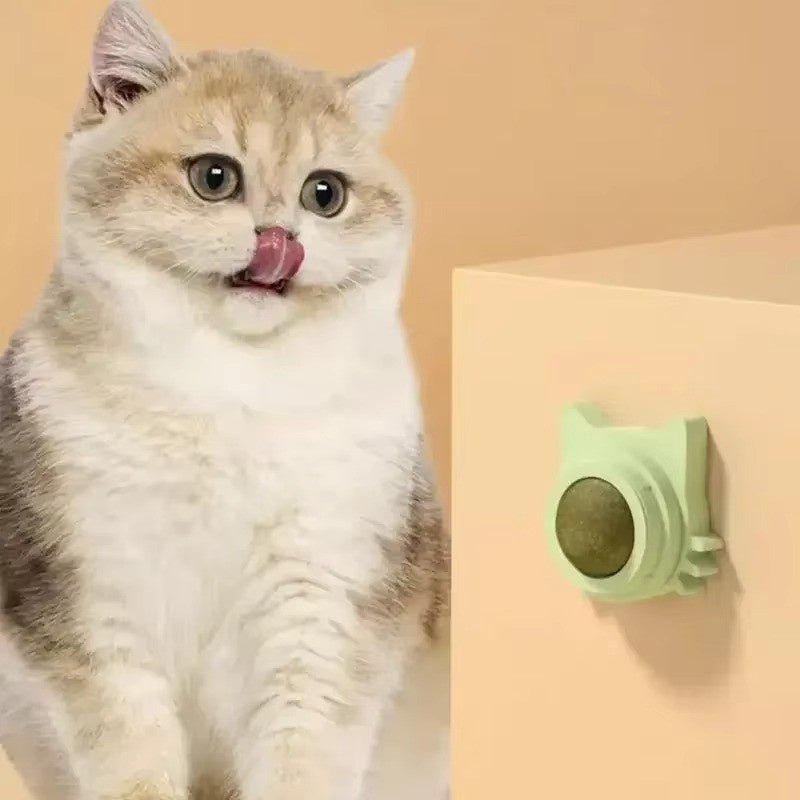 Huitich A - Express Lickable Catnip Ball Toy for Cats - Mumzar