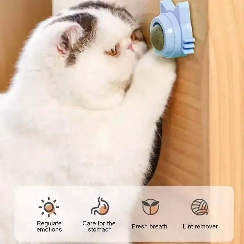 Huitich A - Express Lickable Catnip Ball Toy for Cats - Mumzar