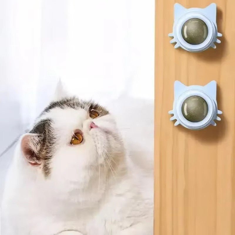 Huitich A - Express Lickable Catnip Ball Toy for Cats - Mumzar