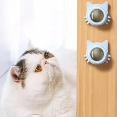 Huitich A - Express Lickable Catnip Ball Toy for Cats - Mumzar