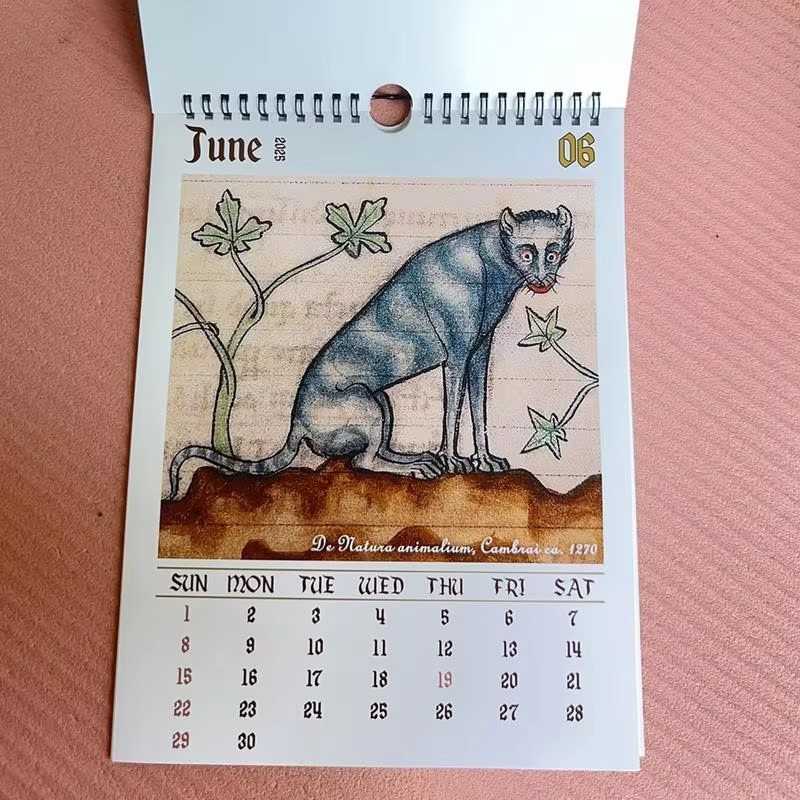 Huitich A - Express Medieval Cat Calendar 2025 Ugly Cats - Mumzar