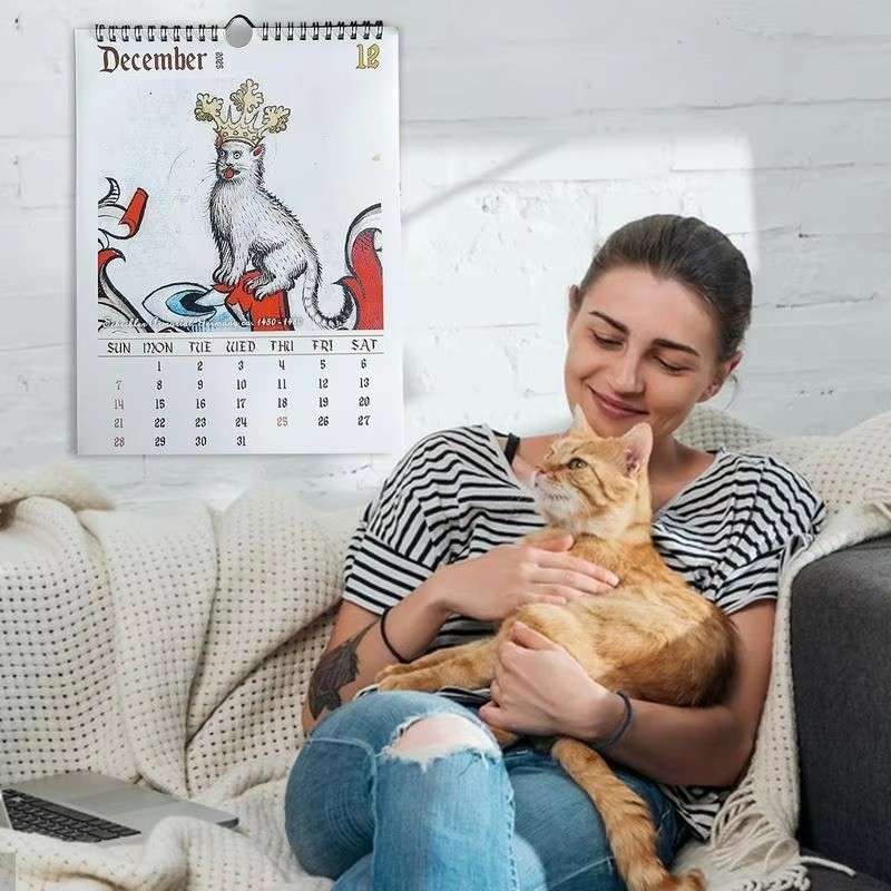 Huitich A - Express Medieval Cat Calendar 2025 Ugly Cats - Mumzar