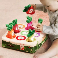 Huitich A - Express Montessori Baby Sensory Toy Set - Mumzar