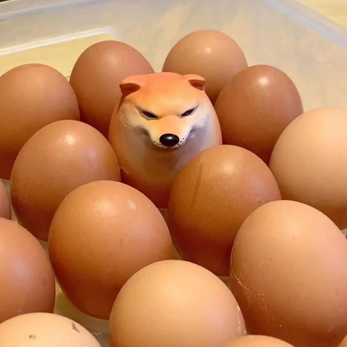 Huitich A - Express Shiba Inu Desk Decor Egg Shape PVC - Mumzar