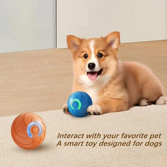 Huitich A - Express Smart Interactive Dog Toy Ball USB Bouncing - Mumzar