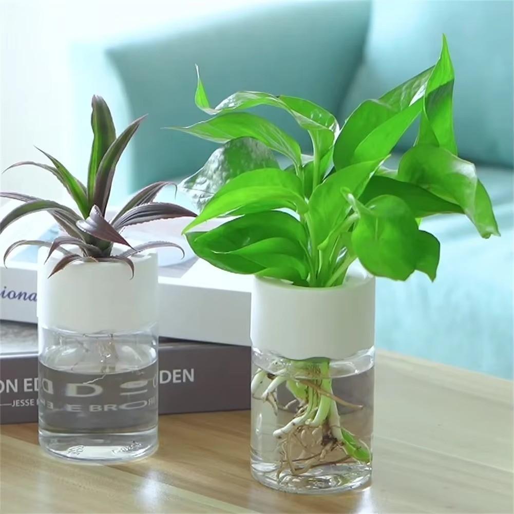 Huitich A - Express Transparent Plant Vase for Home Decor - Mumzar