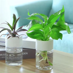 Huitich A - Express Transparent Plant Vase for Home Decor - Mumzar