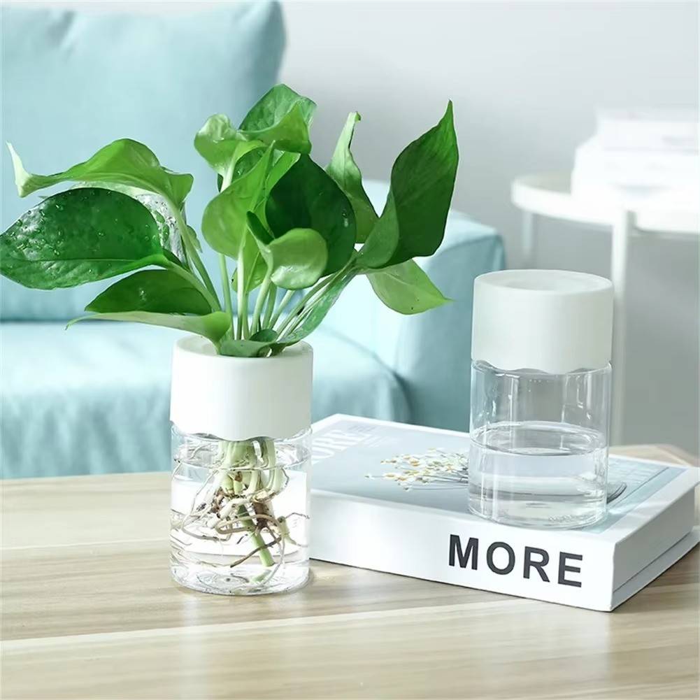 Huitich A - Express Transparent Plant Vase for Home Decor - Mumzar