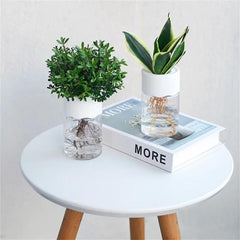 Huitich A - Express Transparent Plant Vase for Home Decor - Mumzar