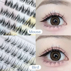 Huitich Glue - Free False Eyelashes Korean Style - Mumzar