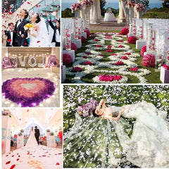 Huitich White Artificial Rose Petals for Decoration - Mumzar