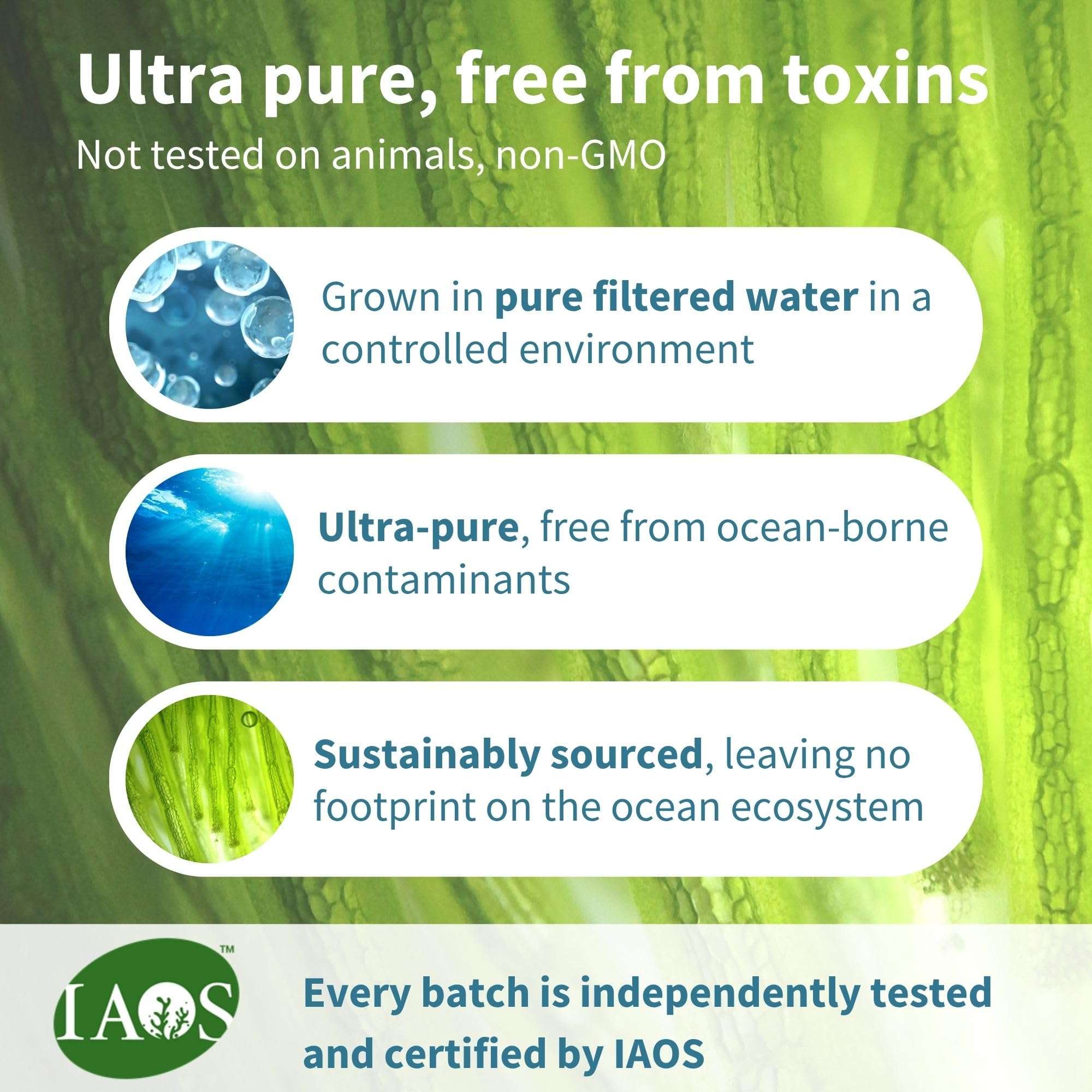 Igennus algae oil label highlighting ultra pure grown in filtered water sustainably sourced IAOS tested vegan omega 3 supplement UAE