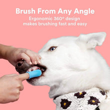 Blue silicone finger toothbrush brushing a dog’s teeth during pet dental care