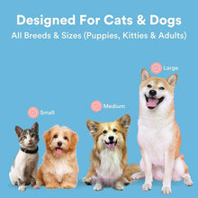 Blue pet finger toothbrush concept for cats and dogs of different sizes