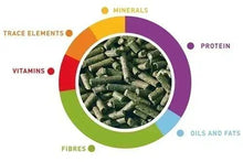 Nutrition wheel showing protein, oils and fats, fibres, vitamins, minerals