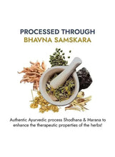 Herb processing infographic with mortar, pestle, and mixed herb leaves