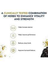 Shilajit Gold capsules benefits icons on a white information panel