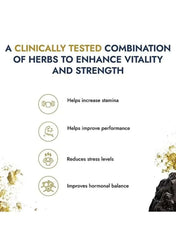 Shilajit Gold 60 Capsules - Mumzar