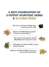 Ayurvedic herbs infographic with 24-carat gold and ingredient illustrations