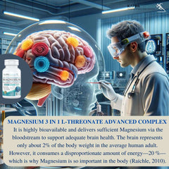 KAPPA NUTRITION bottle with scientist examining colorful brain model magnesium l-threonate supplement UAE