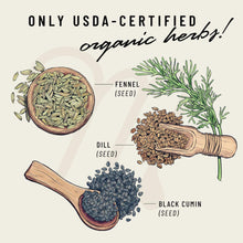 Herb and seed illustration showing fennel, dill, and black cumin in wooden spoons