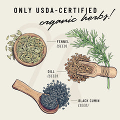 Legendairy Milk Pump Princess capsules ingredient illustration showing fennel dill and black cumin seeds certified organic herbs