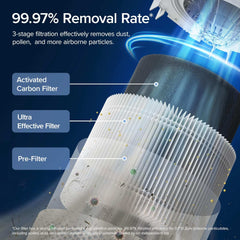 Levoit Quiet Bedroom Air Purifier with Auto Mode - Mumzar