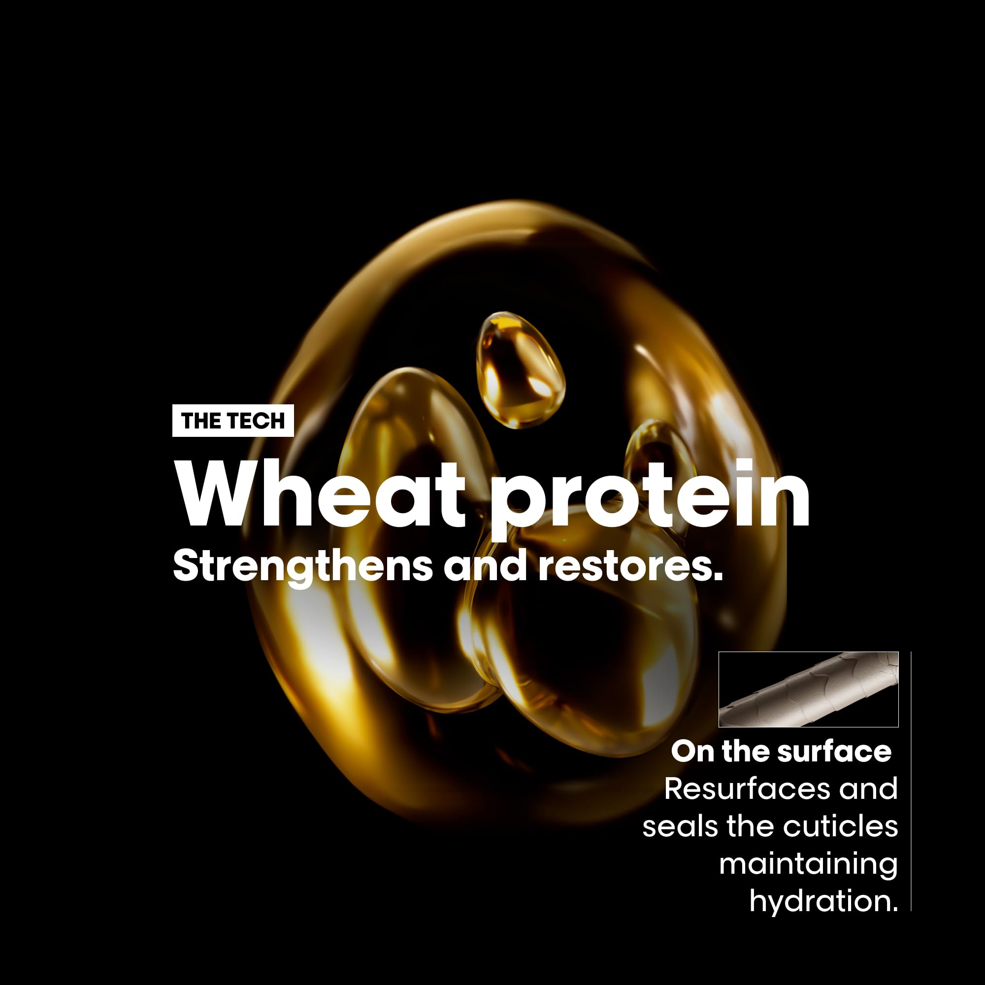 L'Oréal Absolut Repair Conditioner UAE with wheat protein to strengthen and restore hair hydration