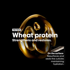 L'Oréal Absolut Repair Conditioner UAE with wheat protein to strengthen and restore hair hydration