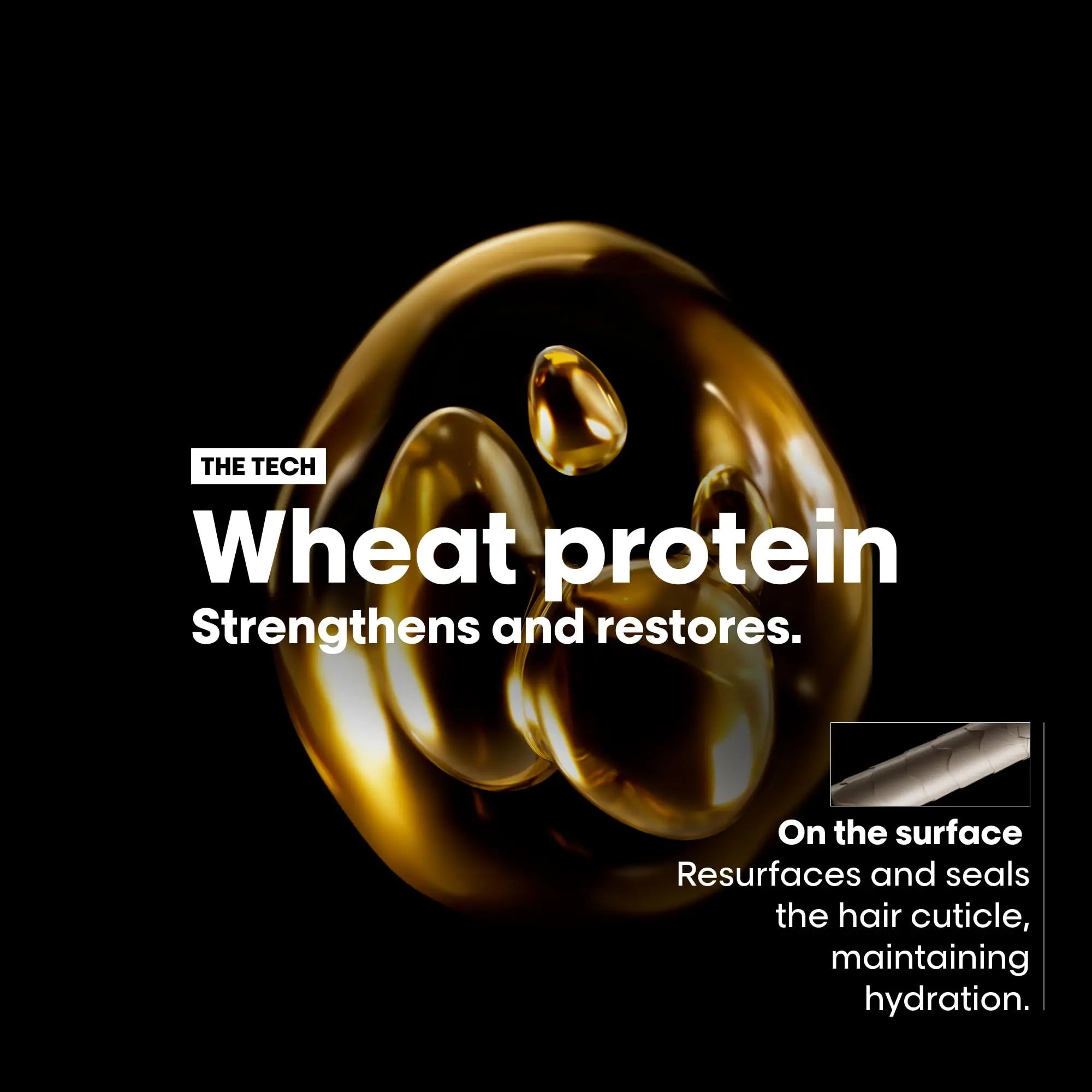 L'Oreal Absolut Repair Shampoo 500ml with wheat protein for strengthening and restoring hair health