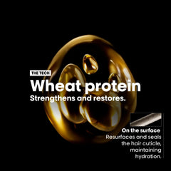 L'Oreal Absolut Repair Shampoo 500ml with wheat protein for strengthening and restoring hair health