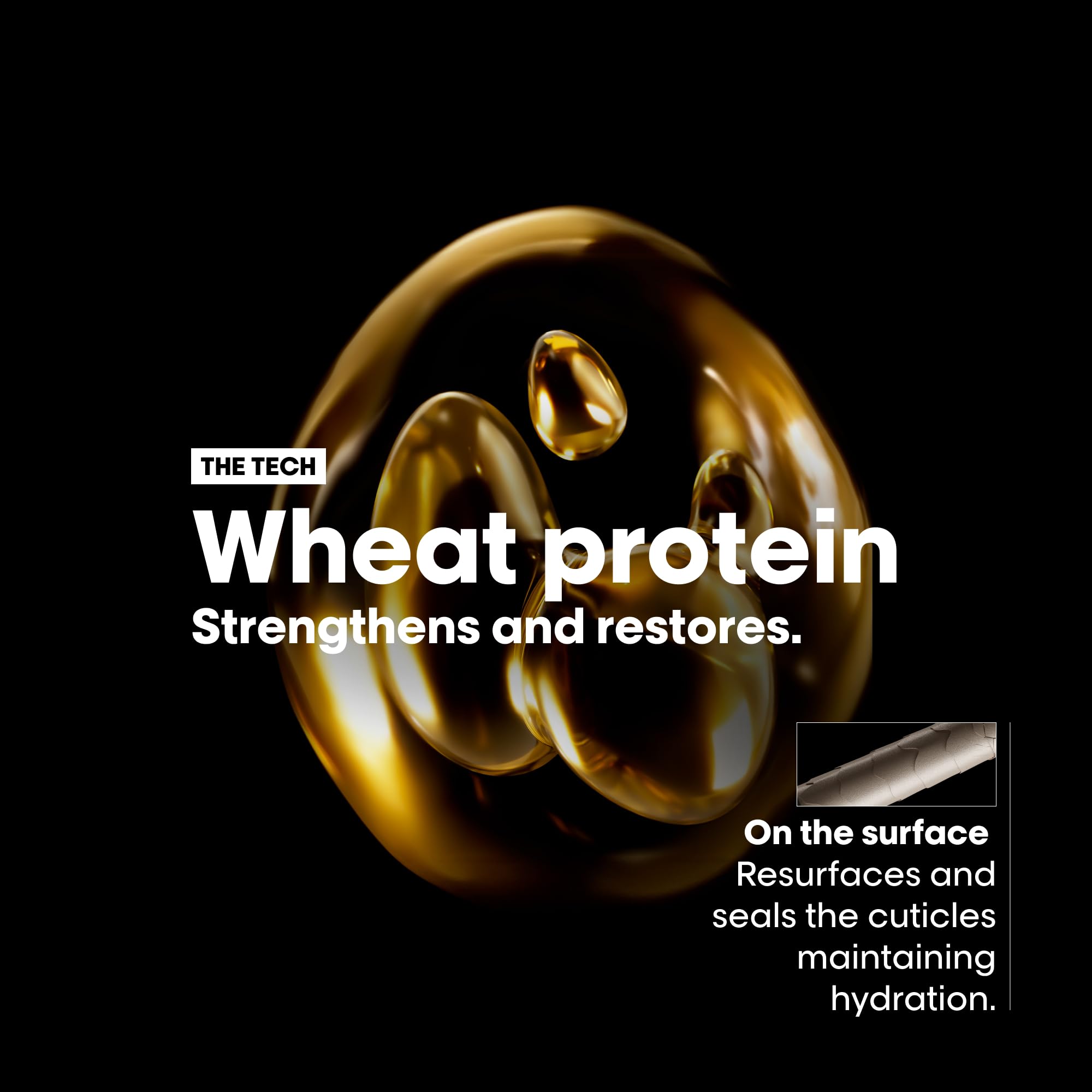 L'Oreal Absolut Repair Shampoo for dry damaged hair highlighted with wheat protein to strengthen and restore