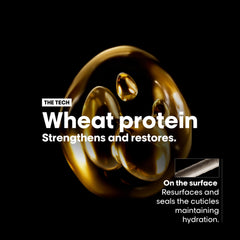 L'Oreal Absolut Repair Shampoo for dry damaged hair highlighted with wheat protein to strengthen and restore