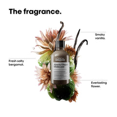 L'Oréal Absolute Molecular Repair Shampoo in a sleek bottle surrounded by floral and herbal elements