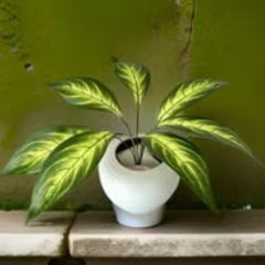 Huitich artificial lush green rose plant pack with vibrant green leaves in a white pot