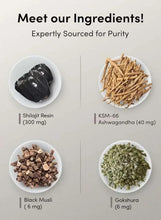 Shilajit gummies ingredients display with bowls of black resin and plant powders