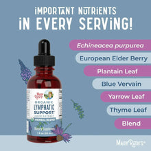 Alcohol-free organic lymphatic support drops bottle with ingredient callouts for herbal blend