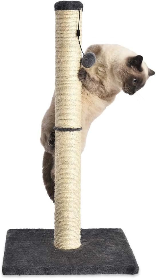 Huitich medium cat scratching post with sisal rope and plush base for climbing and scratching comfort