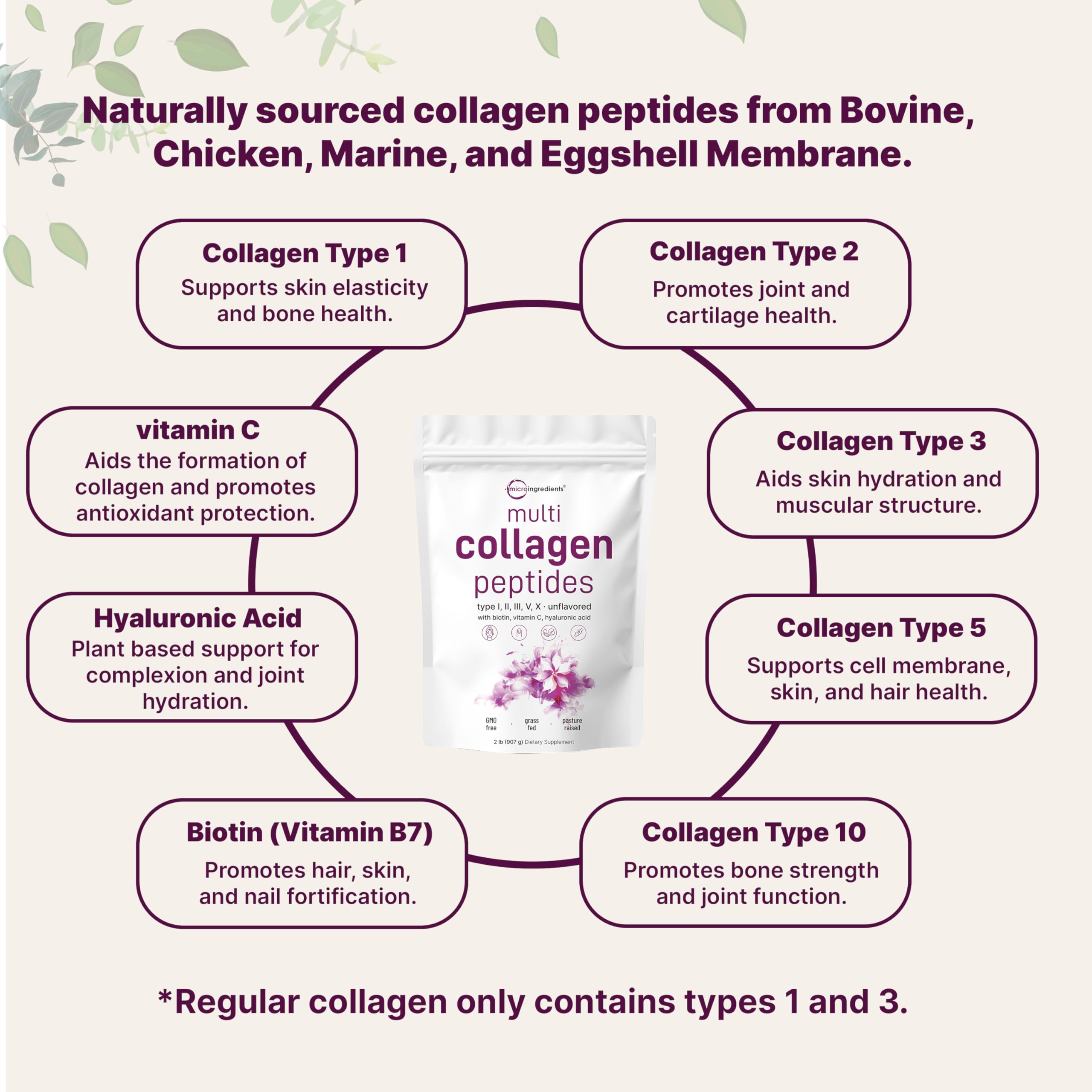 Micro Ingredients multi collagen peptides powder UAE pouch with infographic showing collagen types benefits and ingredients