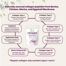 Multi collagen peptides formula infographic with ingredient and collagen type labels