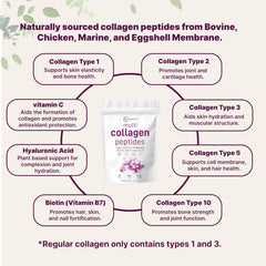 Micro Ingredients multi collagen peptides powder UAE pouch with infographic showing collagen types benefits and ingredients