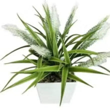 Mini artificial bonsai plant in white pot with spiky green leaves