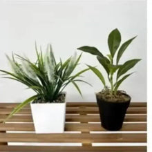Artificial plants in pots, spiky green plant in white pot and leafy plant in dark pot