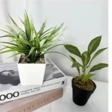 Artificial plants in pots: spiky green plant in white pot beside leafy plant in dark pot