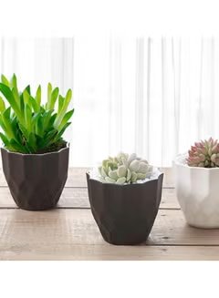 Modern Minimalism Gray Plastic Planters: Sleek Style for Indoor Greenery - Mumzar.com