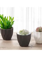 Modern Minimalism Gray Plastic Planters: Sleek Style for Indoor Greenery - Mumzar.com