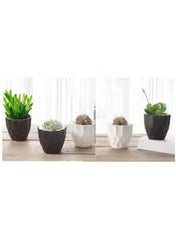 Modern Minimalism Gray Plastic Planters: Sleek Style for Indoor Greenery - Mumzar.com