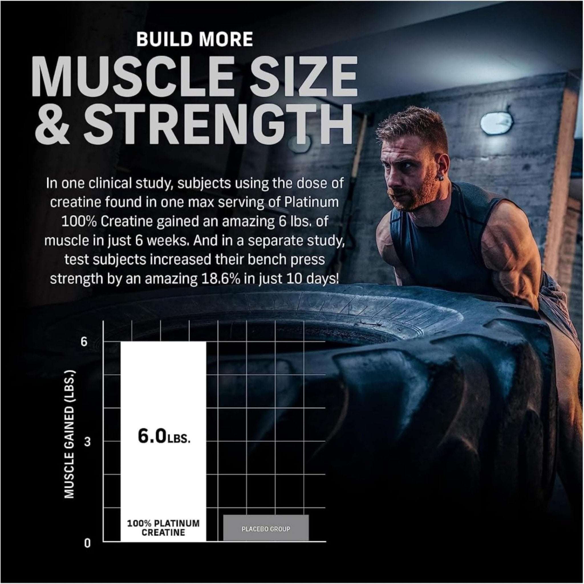 Muscletech Best Muscle Recovery Supplement Platinum Creatine - Mumzar