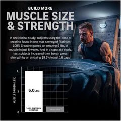 Muscletech Best Muscle Recovery Supplement Platinum Creatine - Mumzar